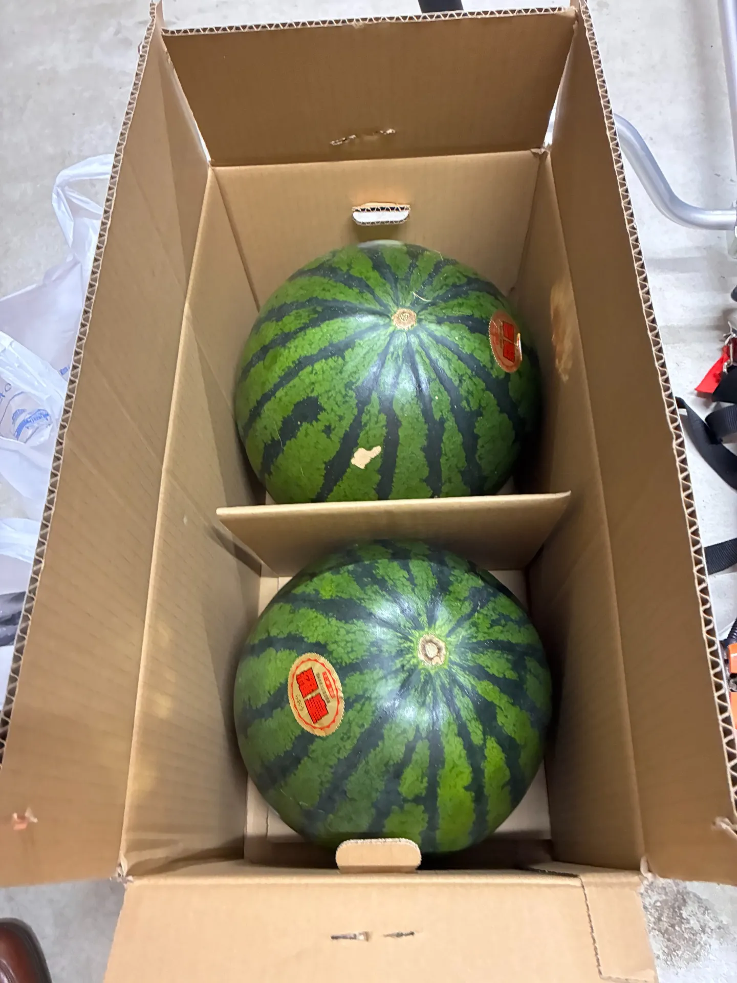つがる市で測量！　従業員からのおみやげ♪